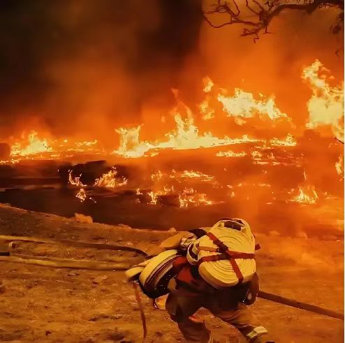 履帶式雙節(jié)森林草原(蘆葦)消防滅火全地形車